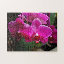 Quebra-cabeça Flores Cor-de-Rosa