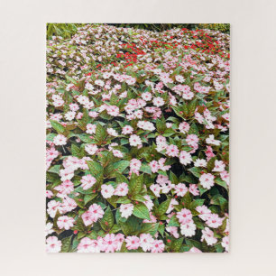 Quebra-cabeça Flores cor-de-rosa do Jardim Botânico NSW