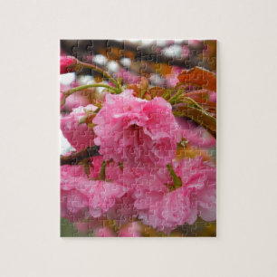 Quebra-cabeça Flores da flor de cerejeira do rosa quente
