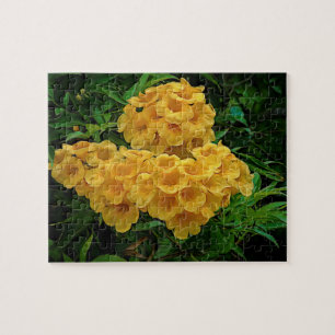 Quebra-cabeça Flores das Ilhas Virgens Yellow Ginger Thomas