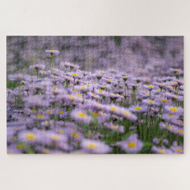 Quebra-cabeça Flores de Aster Roxo (Horizontal)
