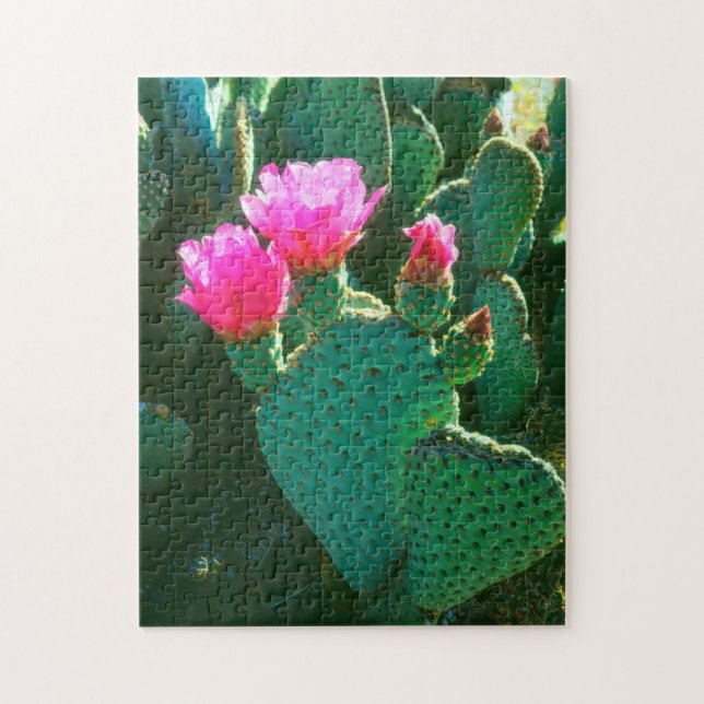 Quebra-cabeça Flores de Cactus Beavertail (Vertical)