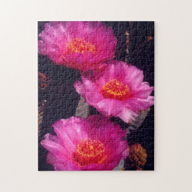 Quebra-cabeça Flores de Cactus Beavertail 2 (Vertical)