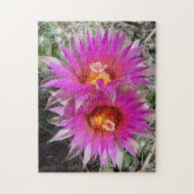 Flores de Cactus F5 Bola "Escobaria vivipara"