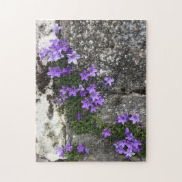Quebra-cabeça Flores de Campanula Crescendo em uma Parede