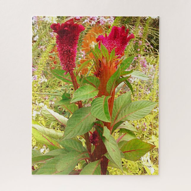 QUEBRA-CABEÇA FLORES DE COCKSCOMB (Vertical)