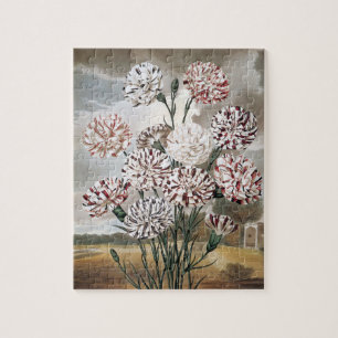 Quebra-cabeça Flores de Cravos Variegados Vintage com Céu Cinza
