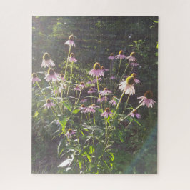 Quebra-cabeça Flores de Echinacea ao Sol