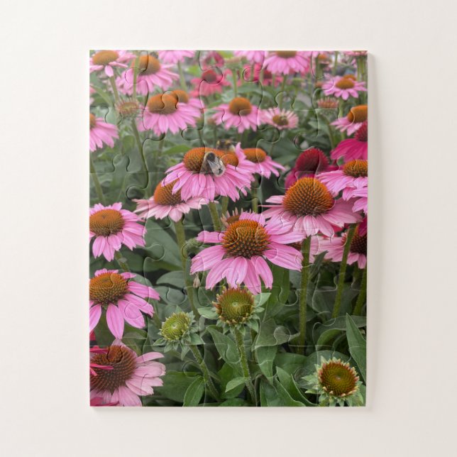 Quebra-cabeça Flores de Echinacea, Rosa e Gordas e Abelhas (Vertical)
