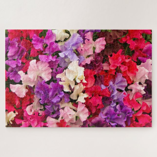 Quebra-cabeça Flores de ervilhas doces e atordoantes na floração (Horizontal)