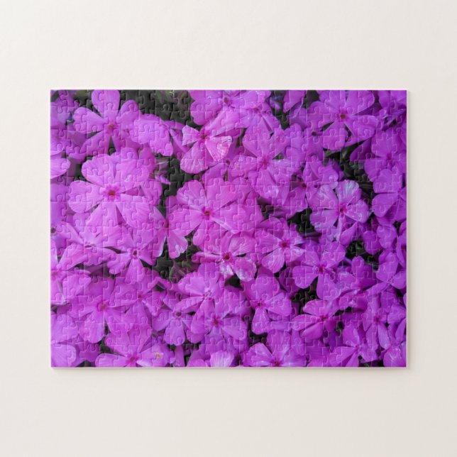 Quebra-cabeça Flores de Flox Roxo (Horizontal)