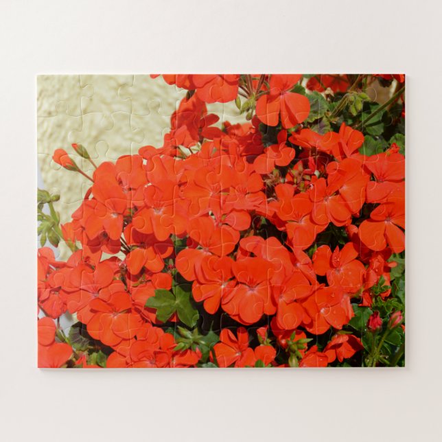 Quebra-cabeça Flores de gerânio laranja (Horizontal)