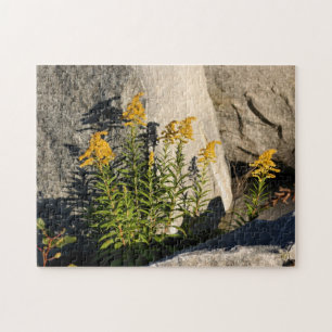 Quebra-cabeça Flores De Goldenho E Sombras