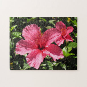 Quebra-cabeça - Flores de Hibiscus Rosa (2)