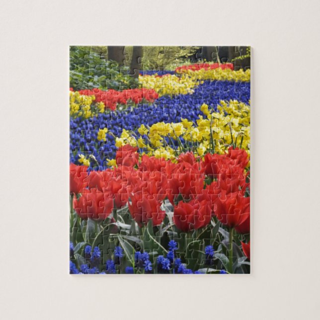 Quebra-cabeça Flores de Holland, Keukenhof (Vertical)