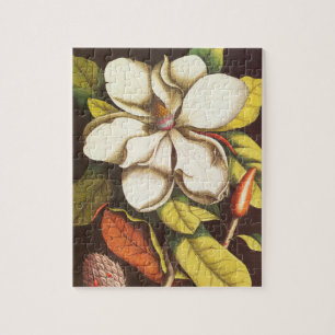 Quebra-cabeça Flores de Magnólia Antiga Planta Com Sementes