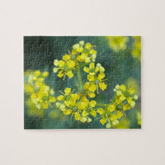Quebra-cabeça Flores de Mostarda, Quebra-Cabeça, 8x10 pol, 110 p