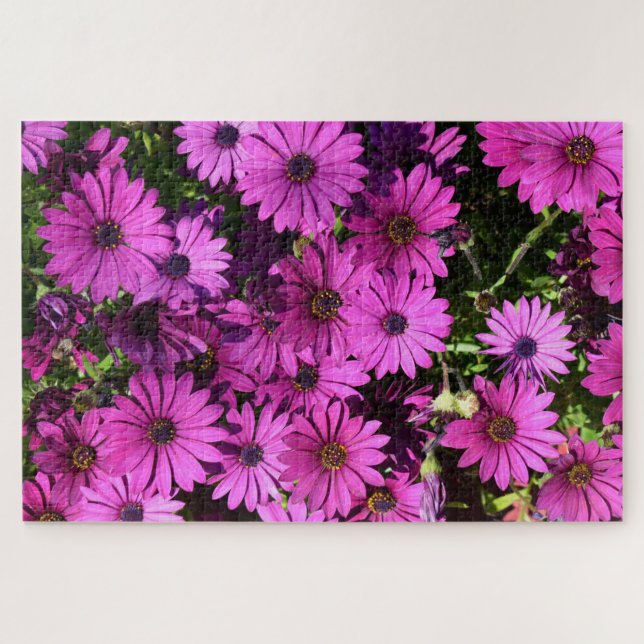 Quebra-cabeça Flores De Osteospermum Roxo (Horizontal)