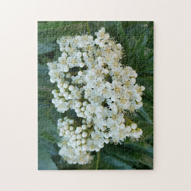 Quebra-cabeça Flores de Pérola Alpina Puzzle, 28 cm x 35,5 cm, 2 (Vertical)