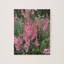 Flores de primavera