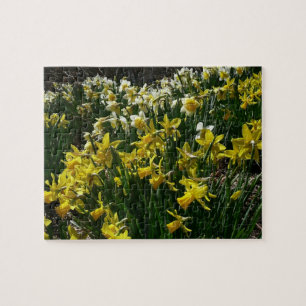 Quebra-cabeça Flores de primavera de Daffodils Amarelos e Branco