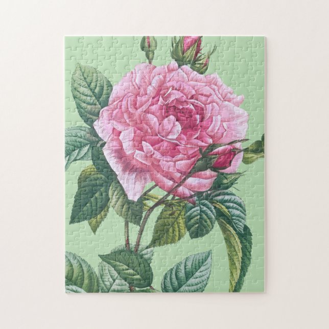Quebra-cabeça Flores de Rosa Rosa com Folhas Verdes (Vertical)