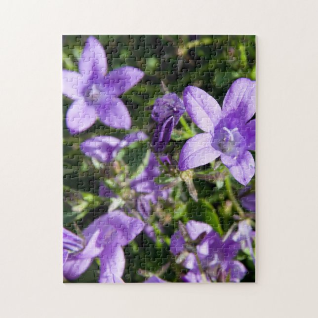 Quebra-cabeça Flores de Verão. Jigsaws (Vertical)