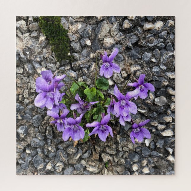 Quebra-cabeça Flores de Viola selvagem crescendo de uma parede d (Vertical)