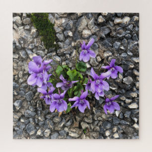 Quebra-cabeça Flores de Viola selvagens que crescem a partir de