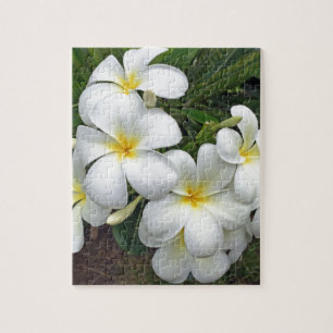 Quebra-cabeça Flores do Plumeria de Havaí