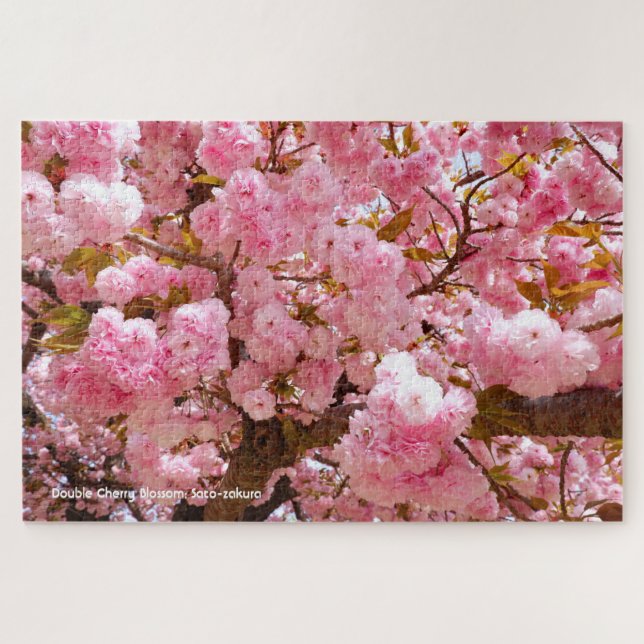 Quebra-cabeça Flores Duplas de Cerejeira: Sato-zakura (Horizontal)