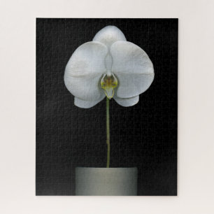 Quebra-cabeça Flores   Flor Orquídea Branca