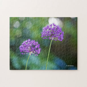 Quebra-cabeça Flores gigantes gigantes de cebola, Allium Gigante