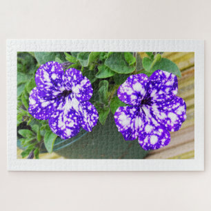 Quebra-cabeça Flores Petunia