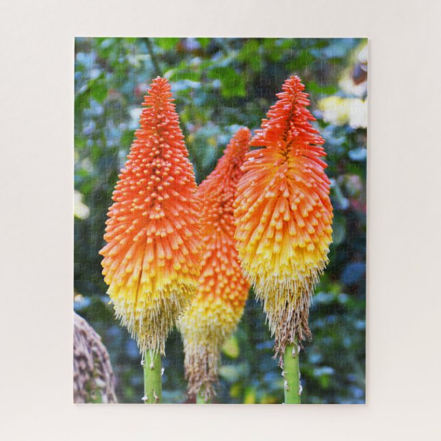 Quebra-cabeça Flores quentes vermelhas (Vertical)