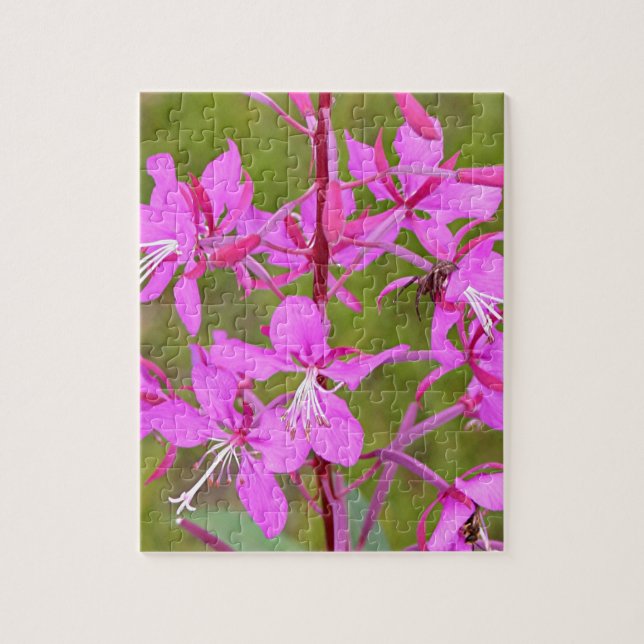 Quebra-cabeça Flores rosa de Alaskan Fireweed na floração (Vertical)