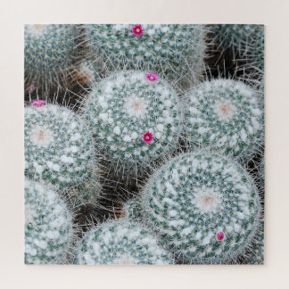 Quebra-cabeça Flores Rosa Pequenas Plantas De Cactus