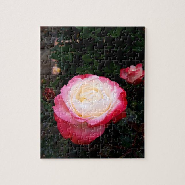Quebra-cabeça Flores rosas, Rosas brancas rosa (Vertical)