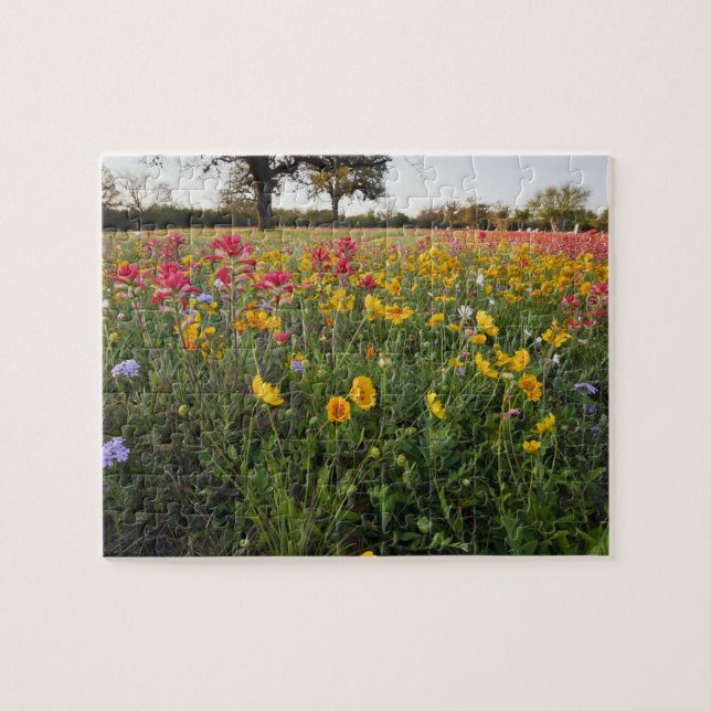 Quebra-cabeça Flores silvestres à beira da estrada no Texas, pri (Horizontal)
