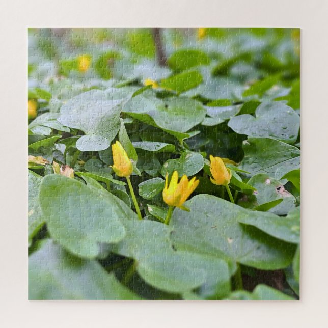 Quebra-cabeça Flores Silvestres da Floresta – Fotografia Botânic (Vertical)
