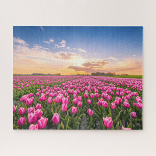 Quebra-cabeça Flores Tulips South Holland, Países Baixos