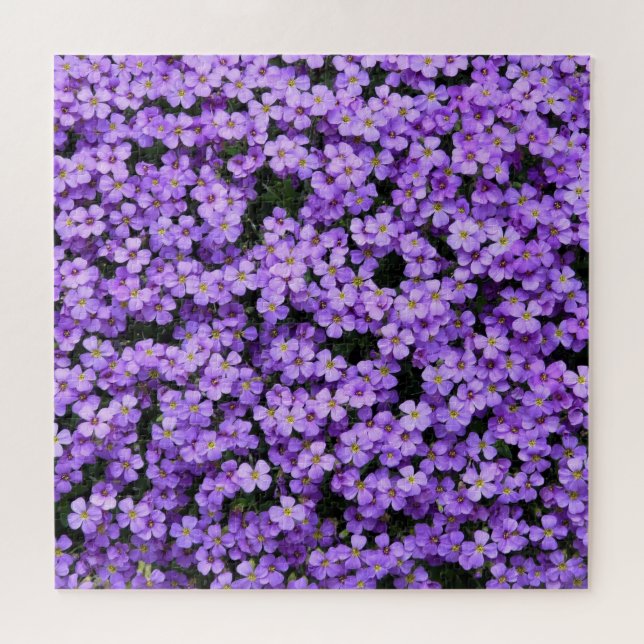 Quebra-cabeça Flores - Violetas (Horizontal)