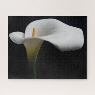 Quebra-cabeça Flores   White Calla Lily