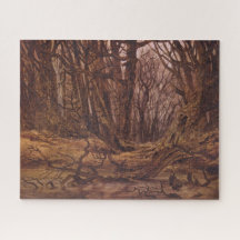 Floresta Alemã na Fall Season