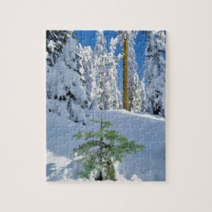 Quebra-cabeça Floresta Coberta de Neve em Oregon