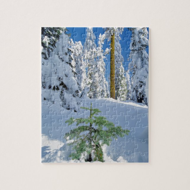Quebra-cabeça Floresta Coberta de Neve em Oregon (Vertical)