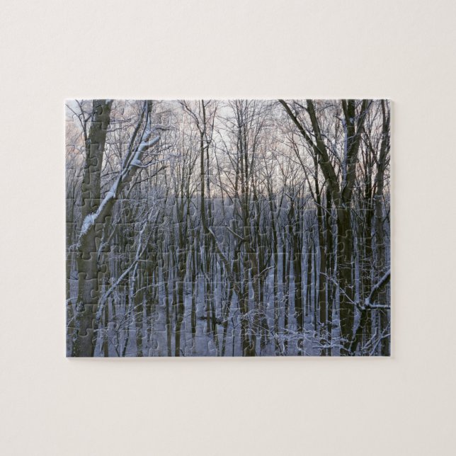 Quebra-cabeça Floresta de Árvores Nevadas (Horizontal)