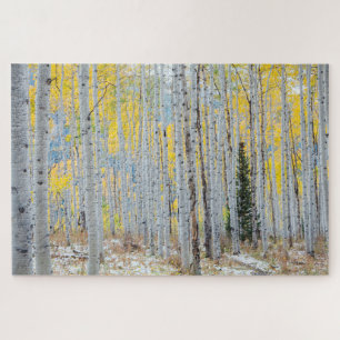 Quebra-cabeça Floresta de Aspen na queda