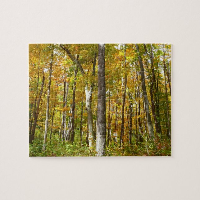 Quebra-cabeça Floresta de Folhas Amarelas Paisagem de Outono (Horizontal)