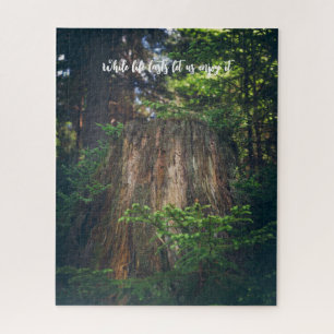 Quebra-cabeça Floresta de Verão Tranquila